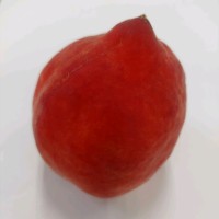 冯玉文