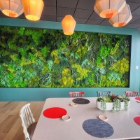 Creative Plant Design