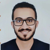 Karim S. Nabawy