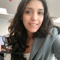 Farah Torky