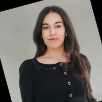 Abaidi Sondes