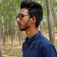 Ravi Sagar