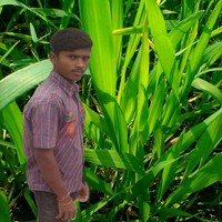 Rabinder kumar Rabinder Kumar