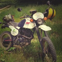 Thibault V