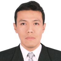 Luis Andrei Ponce Wong