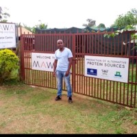Mwangi Murigi