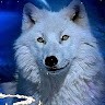 Wolf Lover