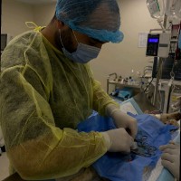 Mahmoud Elshalaby ,(DVM)