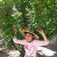 laila b