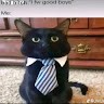 Guy F