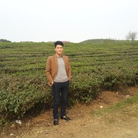 Lê Chính