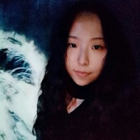 Linlin Li