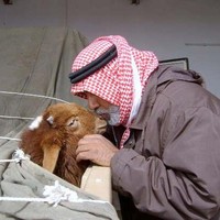 Akef Al Na'San