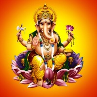 Kapil Dhetarwal