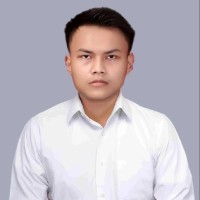 Muhammad Aulia Hakim