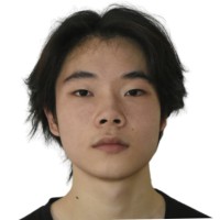 Lin Lei Zheng