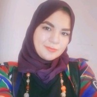 Ebtisam O.Fahmy