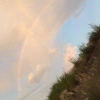 林杰鑫