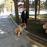 Mertcan Dağaşan