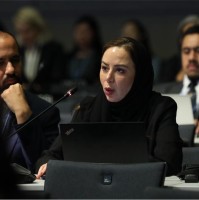 Malak Al-Nory, Ph.D.