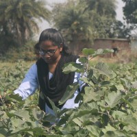 Sushmita Hembrom