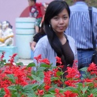 Vy Luu