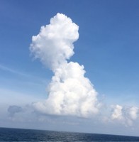 王威力