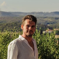 Andrea Zuberti