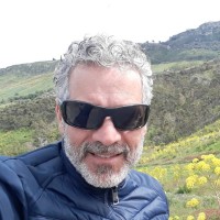 Domenico Antonio Ammendola