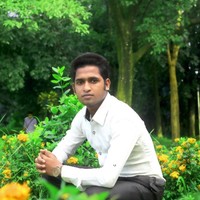 Ali Reja