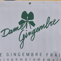 Dame Gingembre