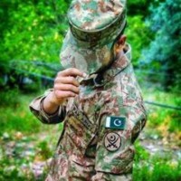 M Tayyab