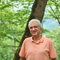 Ali Shomali