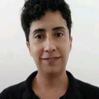 Luis Gerardo Morales Páez