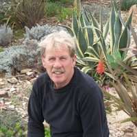 Roel Pluim
