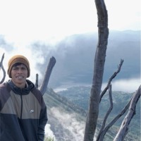 Risnaldi Risnaldi
