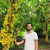 Md. Ashik Hasan