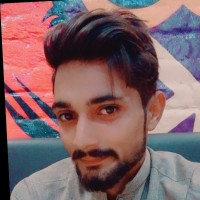 Muhammad Adnan Majeed