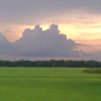 Sarwar Hossain