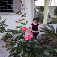 Maria Cacilda Cavanhari - Xtrategus