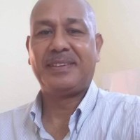abdelkarim hussien