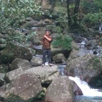 Freedy Rinto