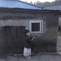 金梦蝶