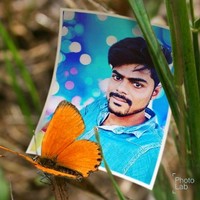 sd gouse
