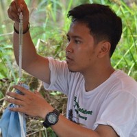 Aldino Fauzil
