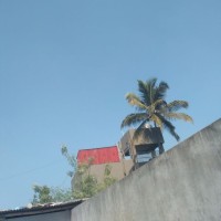 Raju rathore Raju rathore