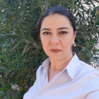 Nihan İncefikir