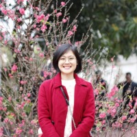 Kim Son
