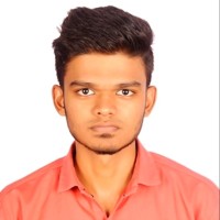 Hari Shankar N