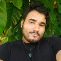 Bruno Brigido